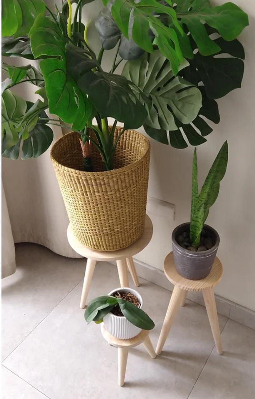 Kit de bancas porta macetas